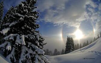 Powder Skiing Wallpaper