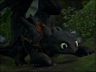 Toothless The Dragon Wallpaper