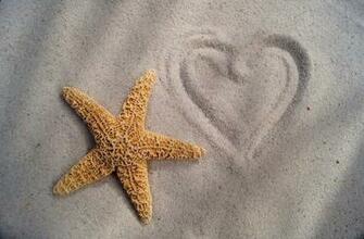 Starfish Computer Wallpaper Desktop Background Id