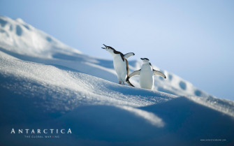 Antarctica Wallpaper For Samsung