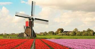 Travel Theme Wallpaper Designs For Agency Walls