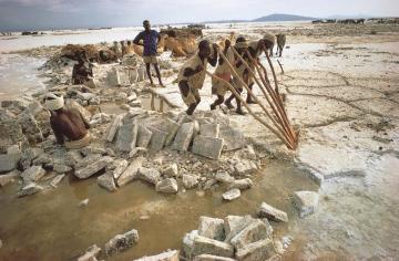 Djibouti Culture History People Britannica