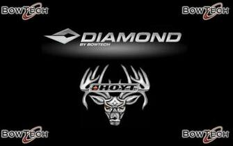 Bear Archery Desktop Wallpaper Background Just