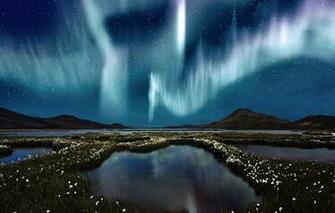 Northern Lights Swamps Flowers Water Sky Stars Wallpaper Photos