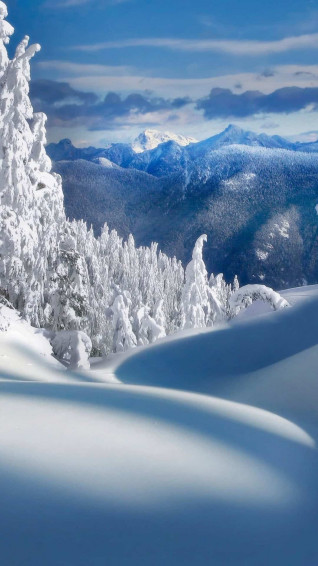 Winter Wallpaper iPhone