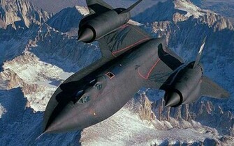 Sr Blackbird Wallpaper