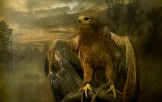 Eagle Wallpaper Background