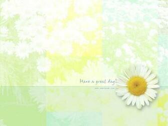 Spring Daisy Flowers Computer Desktop Wallpaper
