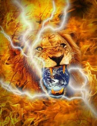 Lion Of Judah Wallpaper Wpz2051 Wallpapermad