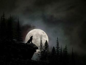 Justin Miller All Galleries Random Photos Wolf Full Moon