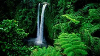 Samoa Wallpaper