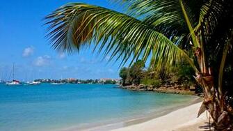 Grenada Nature HD Wallpaper Wallpaper13