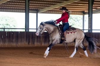 At The Top Of Their Game Nrha Reiner