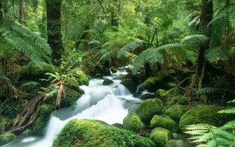 Official Windows Wallpaper And Background These Or