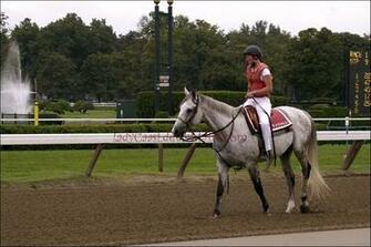 Saratoga Horse By Kwilliamsphoto