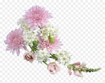 Transparent Background Real Flowers Png Wallpaper
