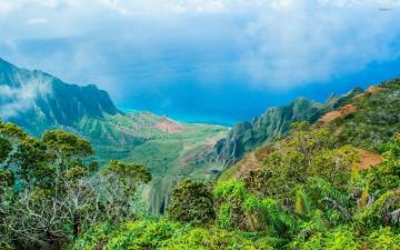 Kauai Wallpaper Nature