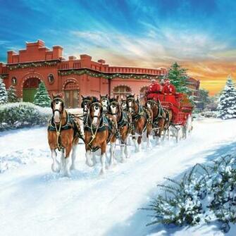 Budweiser Christmas By Jeff