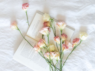 Photography Still Life HD Wallpaper