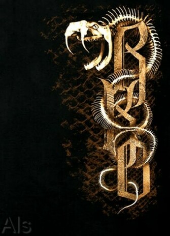Wallpaper Fondos Wwe Randy Orton Rko