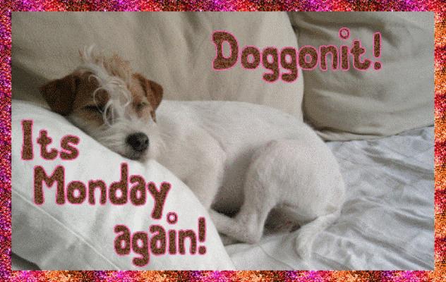 Its Monday Again Desicomments