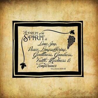 Amazon Fruit Spirit Love Joy Peace Goodness Faith Novelty