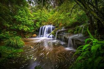 Bushes River Stream Waterfall Stones Wallpaper Nature
