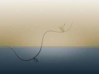 HD Desktop Background Simple Background