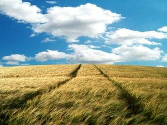 Windows Vista Themesvista Bliss Wallpaper