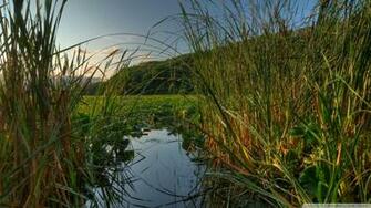 Jensen Lake At Lebanon Hills Regional Park Eagan Mn Wallpaper