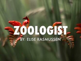 Zoologist By Elise Rasmussen