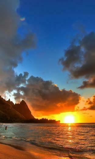 Nature Summer Wallpaper