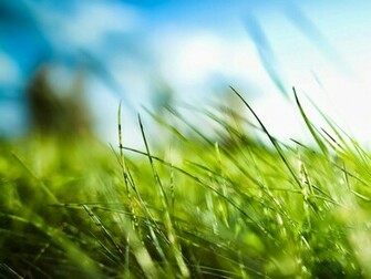 Cool Wallpaper HD Nature