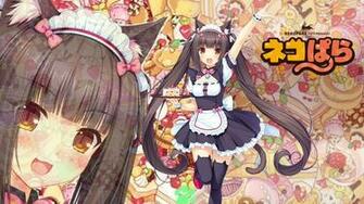 Neko Paradise Chocola By Seira Hirano