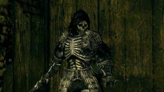 Darkwraith Knight Dark Souls Wiki