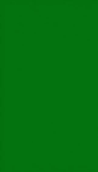 Solid Green Wallpaper