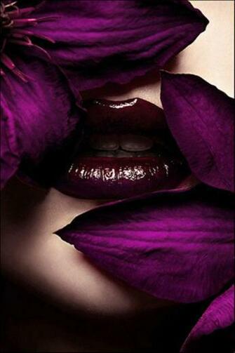 Deep Purple Closeup iPhone Wallpaper S C 3g