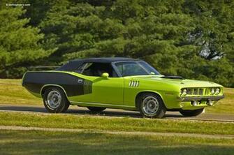 Barracuda Wallpaper Image Galleries Imagekb