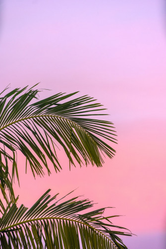 4k Summer Wallpaper
