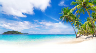 Summer 4k Ultra HD Wallpaper And