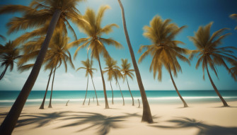 Beach Palm Trees Wallpaper
