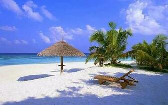Miami Florida Nature Wallpaper Desktop