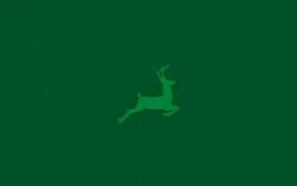 Christmas Deer Green Background Wallpaper