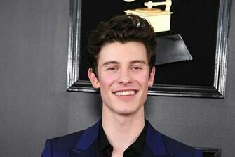 Shawn Mendes Fronts New Calvin Klein Campaign The Independent