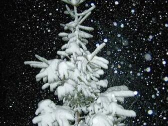 Snow Shadows By Bluebird Snowy Countryside Gramag4 Night