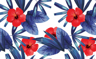 Hibiscus Flowers Wallpaper For Walls
