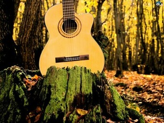 Musical Instruments Wallpaper