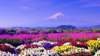 HD Spring Wallpaper