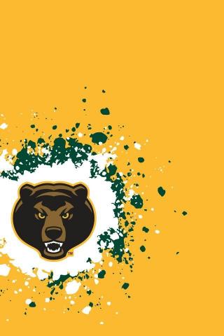 Cool Baylor Wallpaper Bear Bears Diy