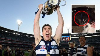 Afl News Jeremy Cameron Reveals How Now Famous Cows Almost